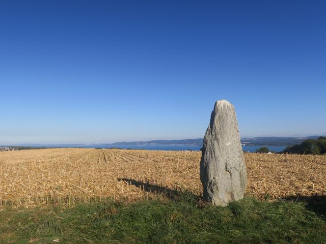 2018-09-30-menhir1-avo-vf-54_DEFAULT.jpg