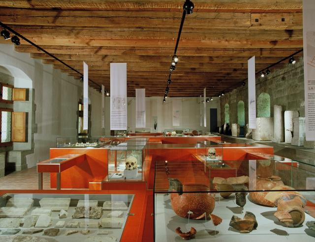 alle-des-celtes-aux-burgondes-c-musee-d-yverdon-et-region-suzanne-et-daniel-fibbi-aeppli_DEFAULT.jpg