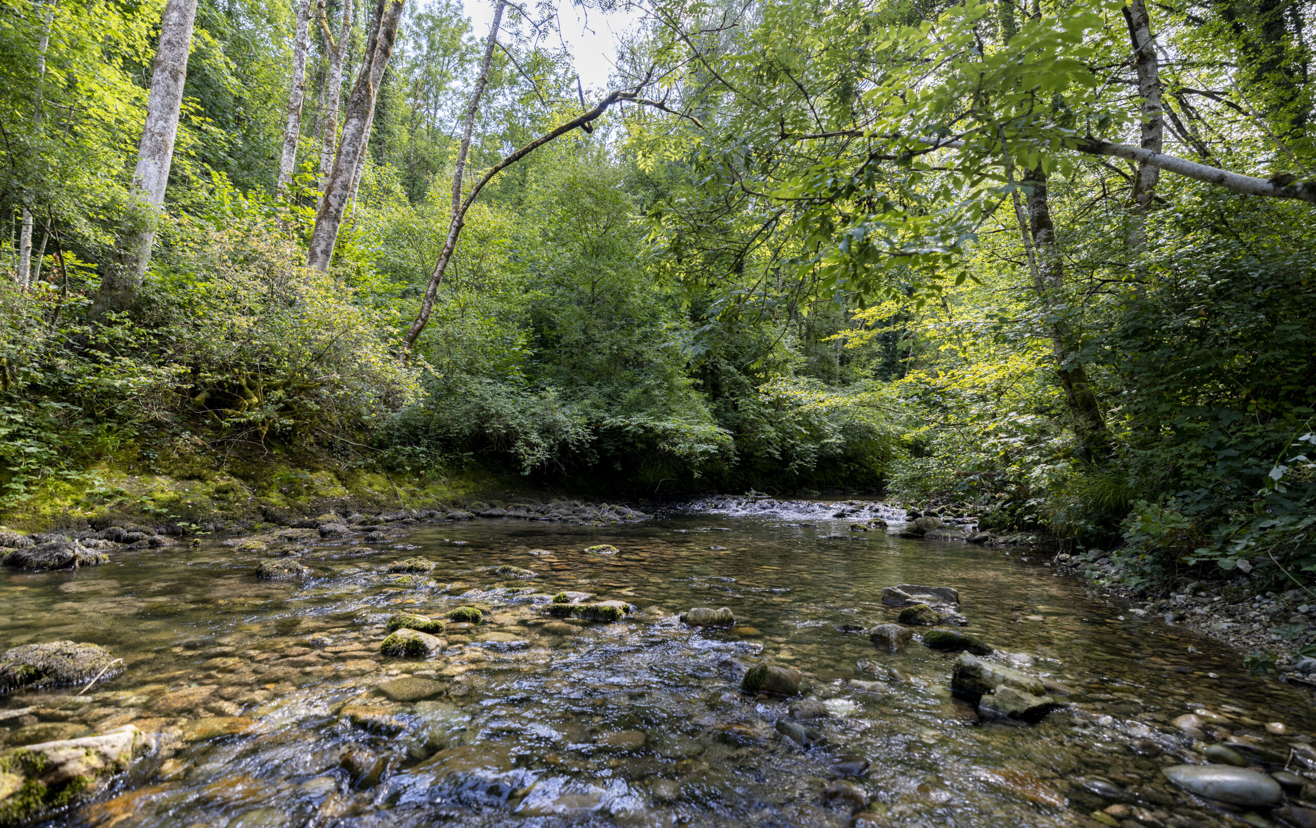 Rivière L'Arnon © ADNV - Yanick Turin