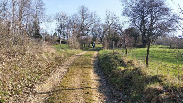 canal-d-entreroches-hivercmrt-15_DEFAULT.jpg