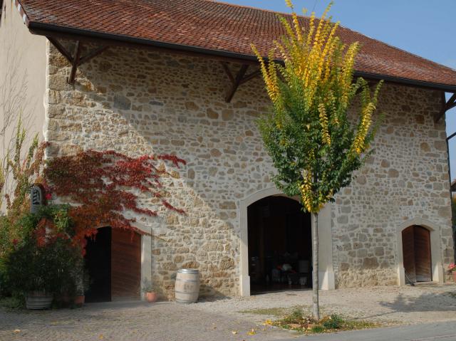 domaine-de-l-orme-frederic-gauthey_DEFAULT.jpg