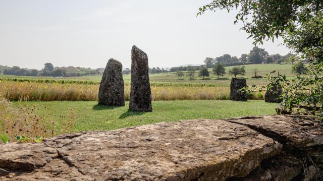 4-menhirs-de-corcelles-pres-concise_DEFAULT.jpg