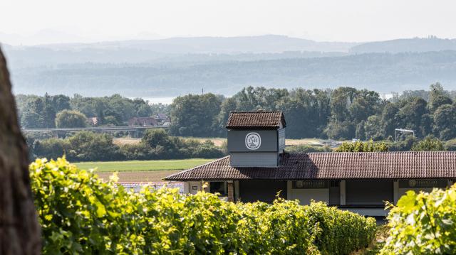 cave-des-viticulteurs-de-bonvillars_DEFAULT.jpg