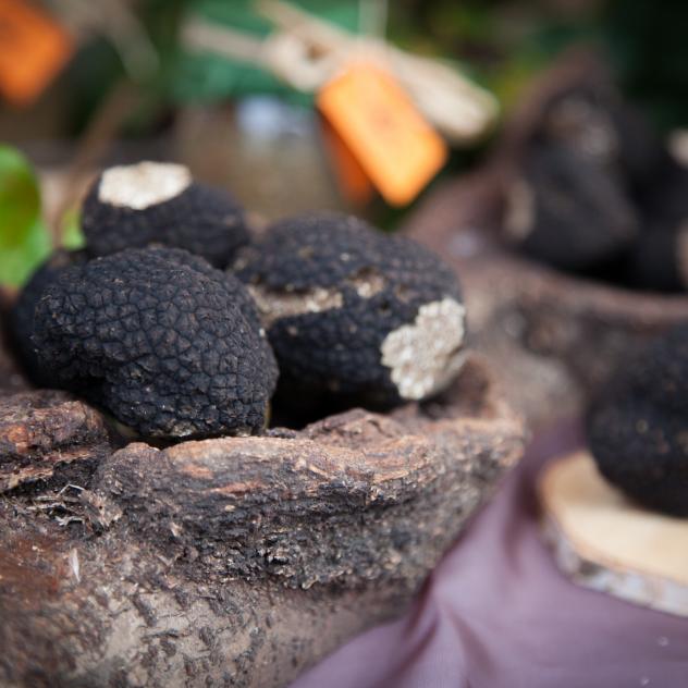 Marché aux truffes de Bonvillars