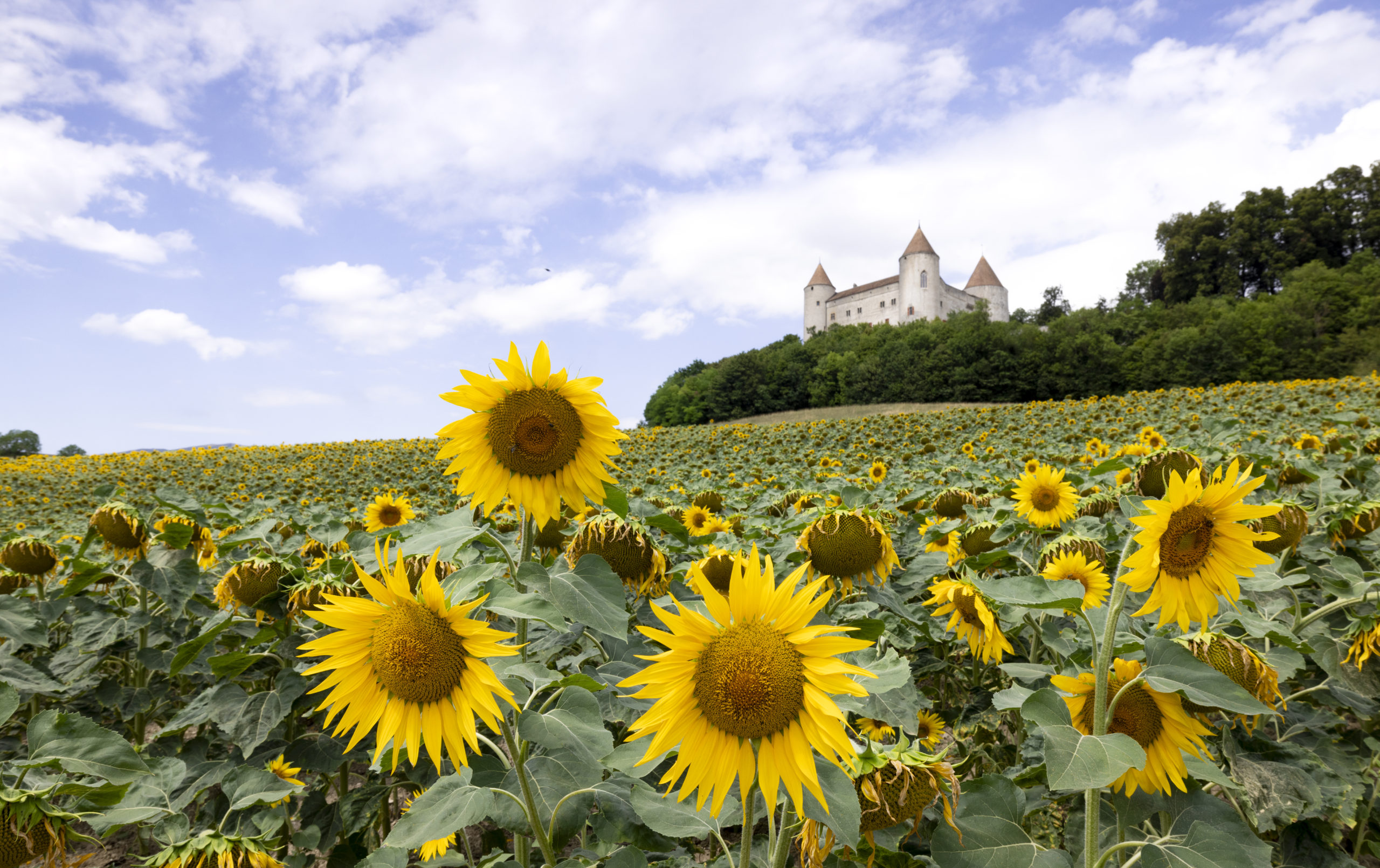 Château de Champvent © ADNV - Yanick Turin