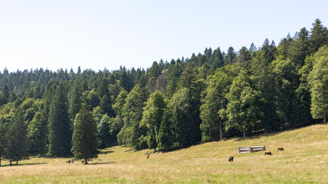 balcon-du-jura-ete-c-adnv-justine-perrenoud-18_DEFAULT.jpg