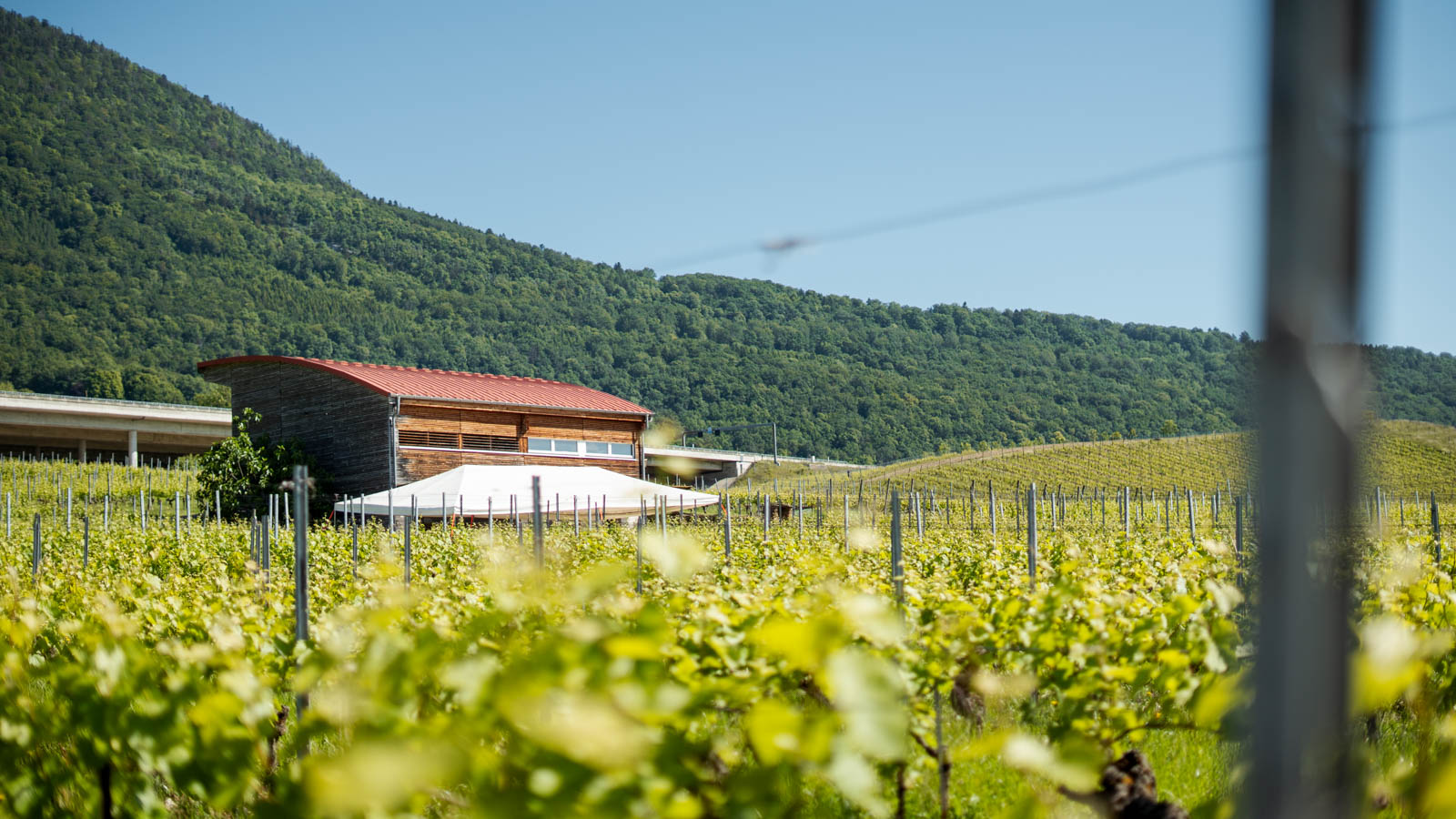 Domaine de Gourmandaz © ADNV - Lionel Bourgeois