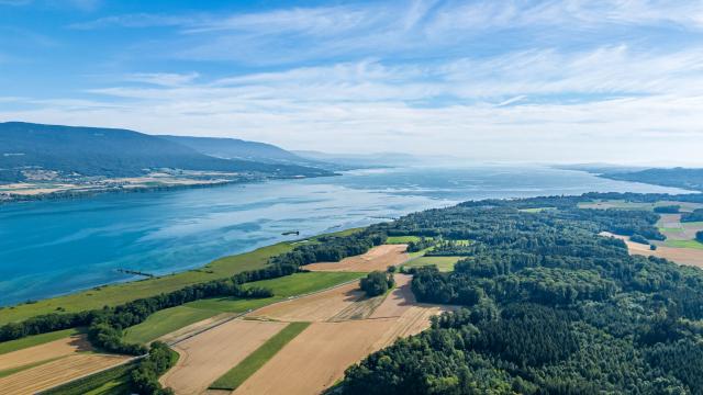 vue-sur-le-lac-de-neuchatel-et-la-region-d-yvonand_DEFAULT.jpg