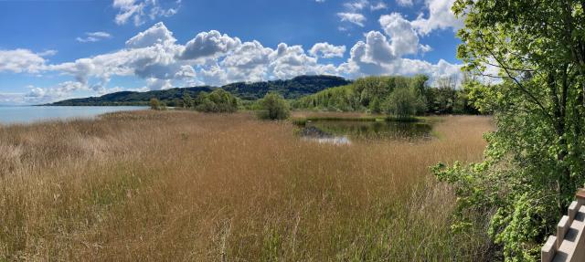 yvonand-entre-lac-riviere-un-petit-voyage-dans-le-temps_DEFAULT.jpg
