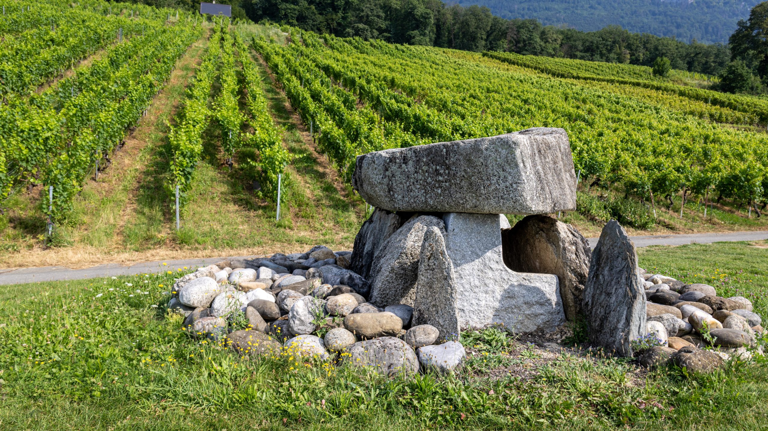 Dolmen d'Onnens © ADNV - Lionel Bourgeois