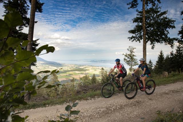 ylbr-sainte-croix-vtt-7-c-vincent-bourrut-www-vincentbourrut-ch_DEFAULT.jpg