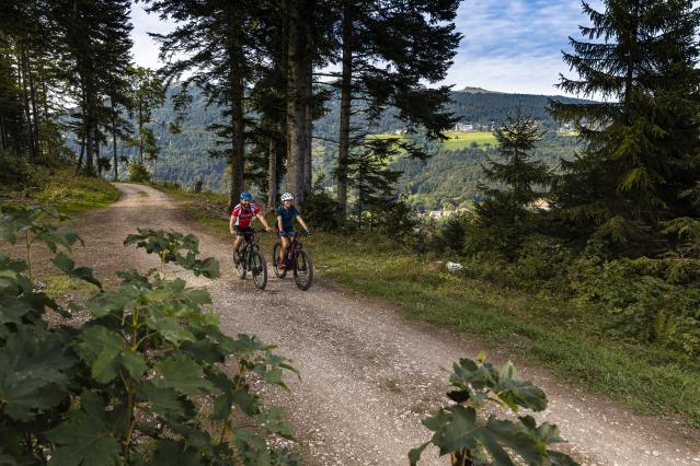 ylbr-sainte-croix-vtt-8-c-vincent-bourrut-www-vincentbourrut-ch_DEFAULT.jpg