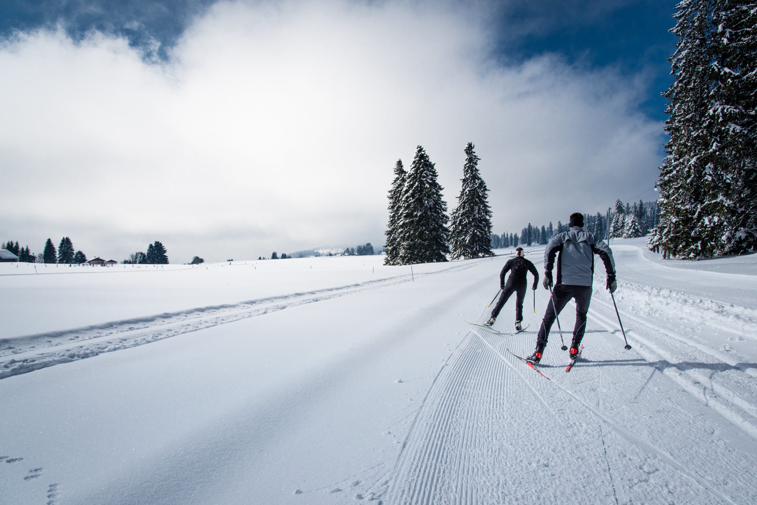 Sports d'hiver III - ski de fond © D.CARLIER davidcarlierphotography.com-min