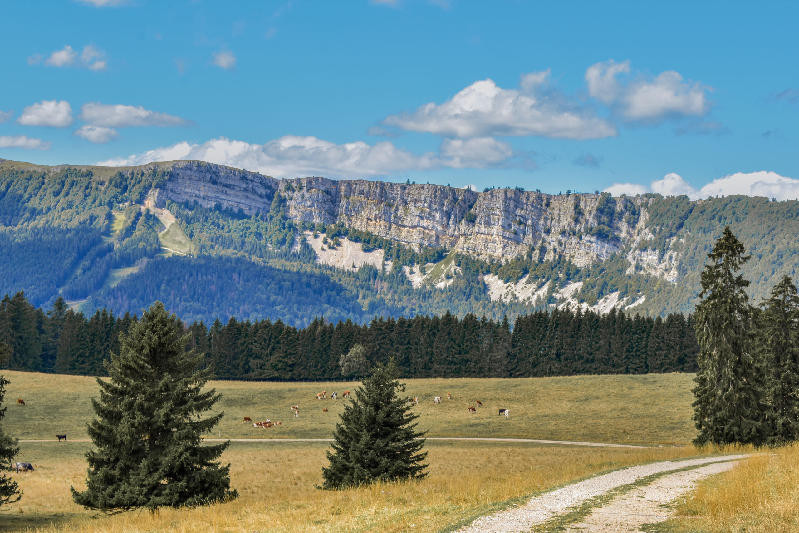 Mont d'Or © ADNV - Lionel Bourgeois