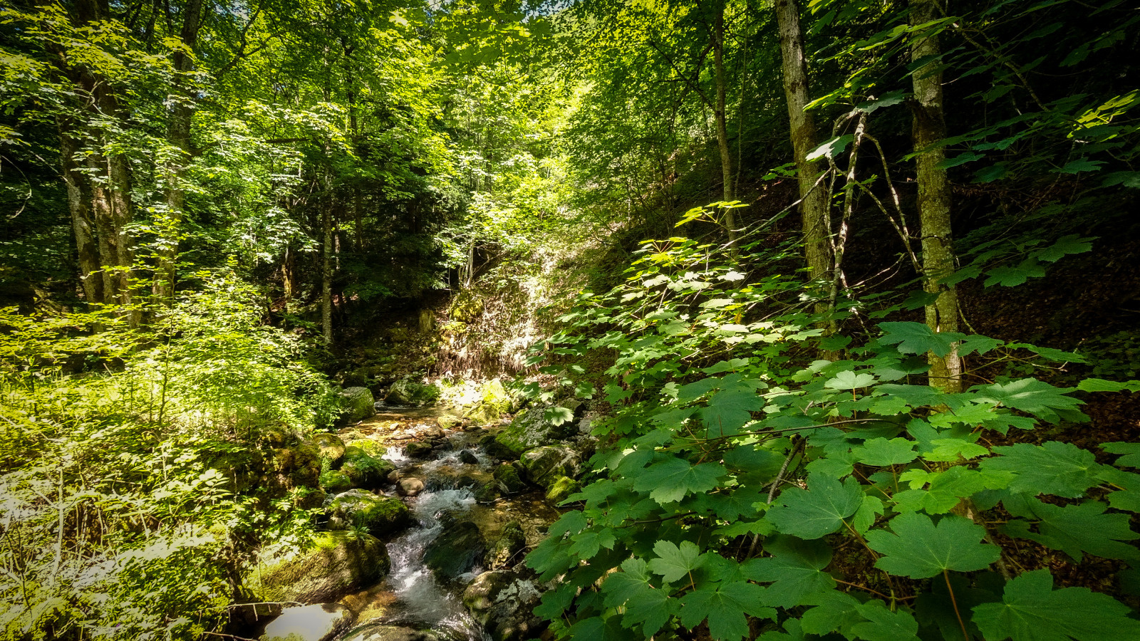 Gorges de Covatannaz