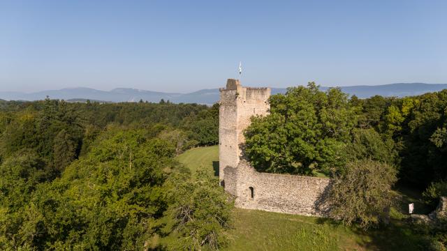 tour-st-martin_DEFAULT.jpg