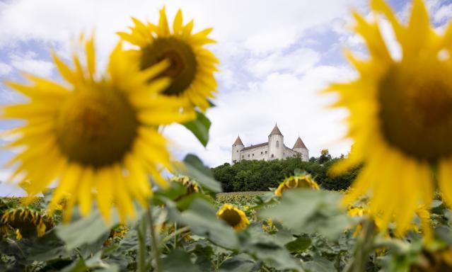 chateau-de-champvent_DEFAULT.jpg