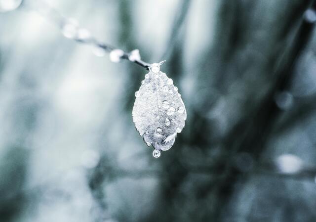 photo_DEFAULT-4.jpg