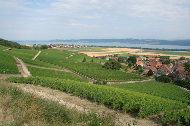 photo_DEFAULT-6.jpg