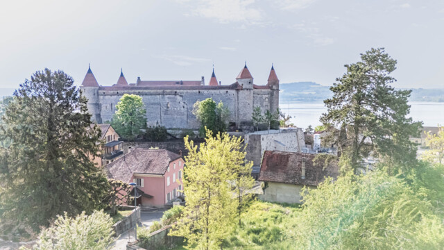 photo_DEFAULT-10.jpg