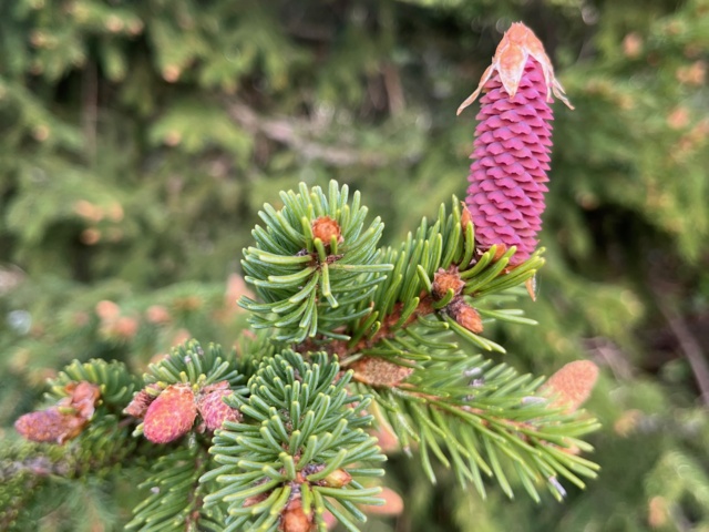 photo_DEFAULT-3.jpg
