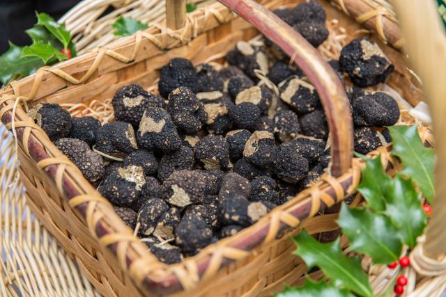 truffes-nord-vaudois_DEFAULT.jpg