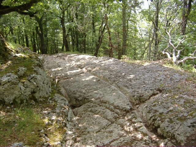voies-a-ornieres_DEFAULT.jpg