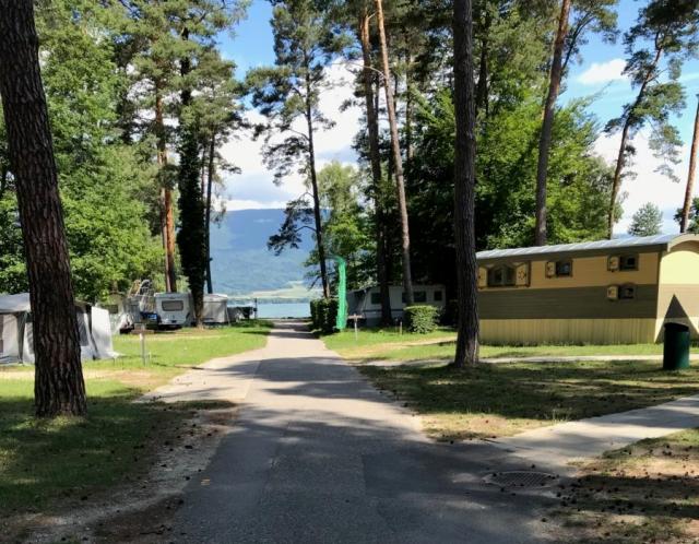 vd8-allee-principale_DEFAULT.jpg