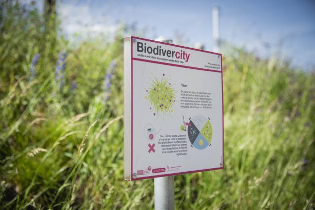 panneau-biodivercity_DEFAULT.jpg